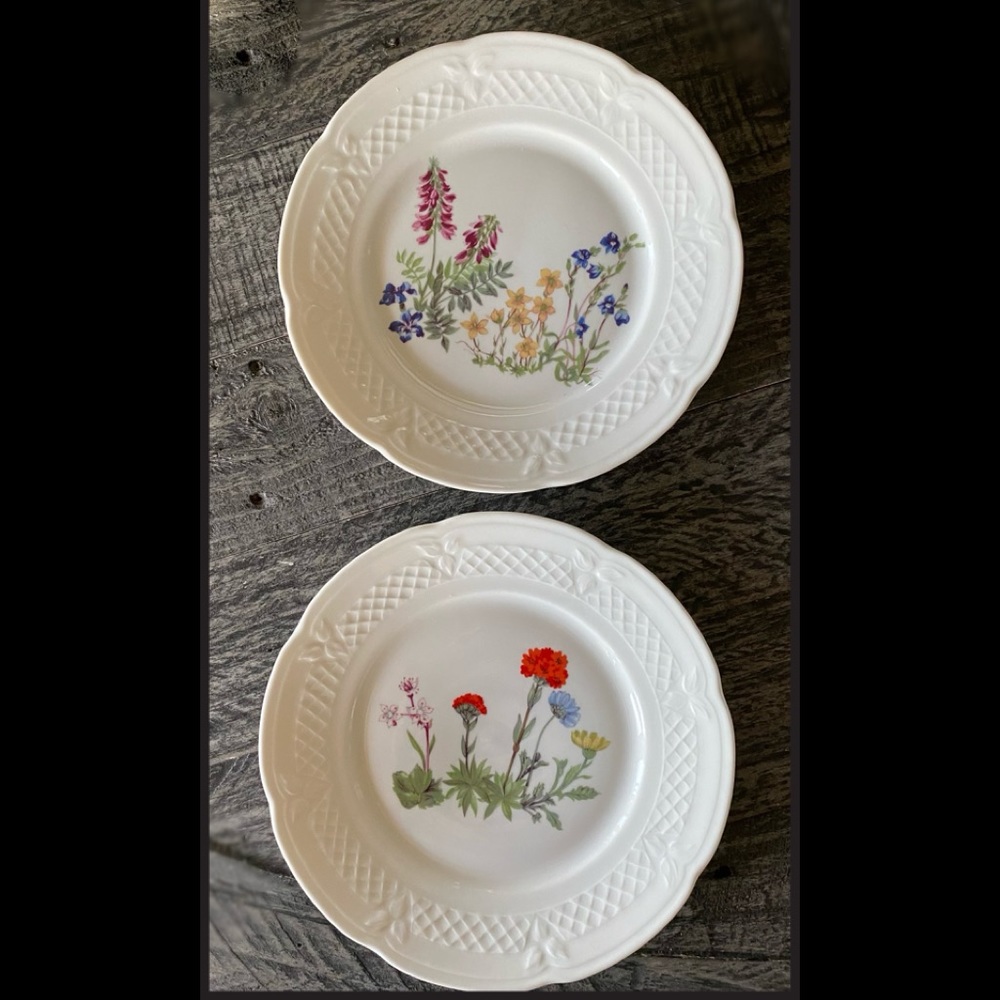 Berry Haute Porcelaine, luncheon plate set of 2